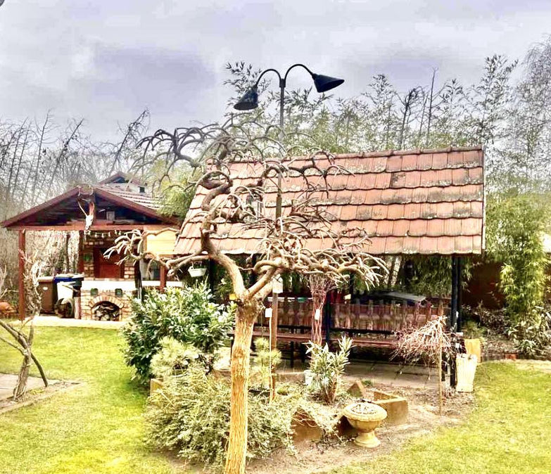 🔥KIVÉTELES LEHETŐSÉG HETÉNYEGYHÁZÁN