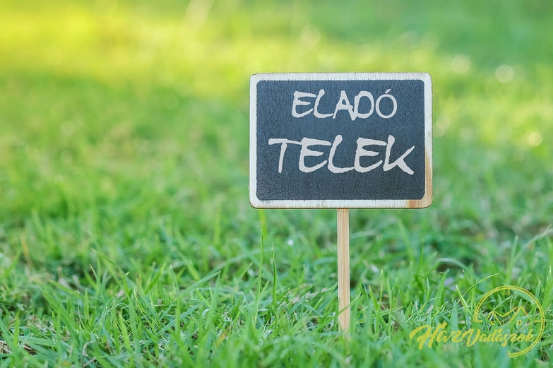 🏡 Csend, nyugalom és kiváló építési lehetőség Ágasegyházán! 🌟