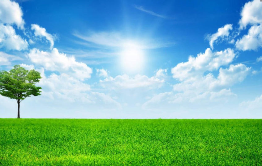 Vacsi közben újonnan kialakult telkeket kínálunk eladásra