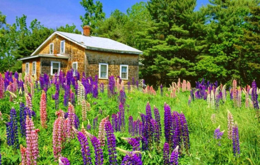 Fülöpházán építési telek eladó 6,2 M Ft