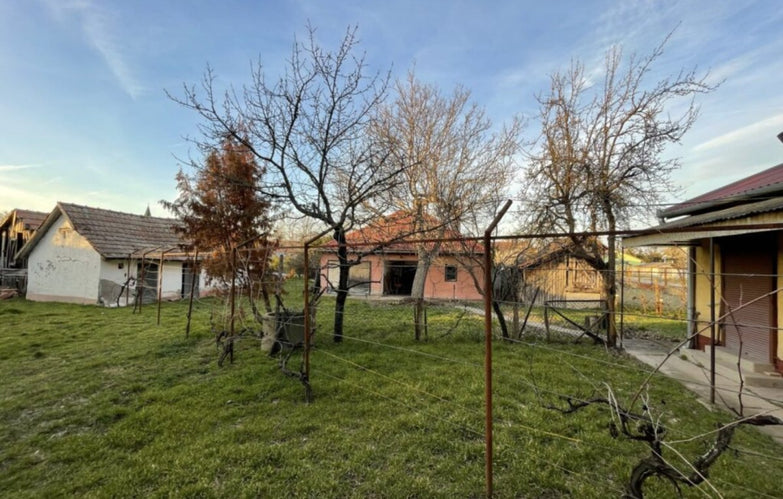 Tázlári ház, nagy telekkel