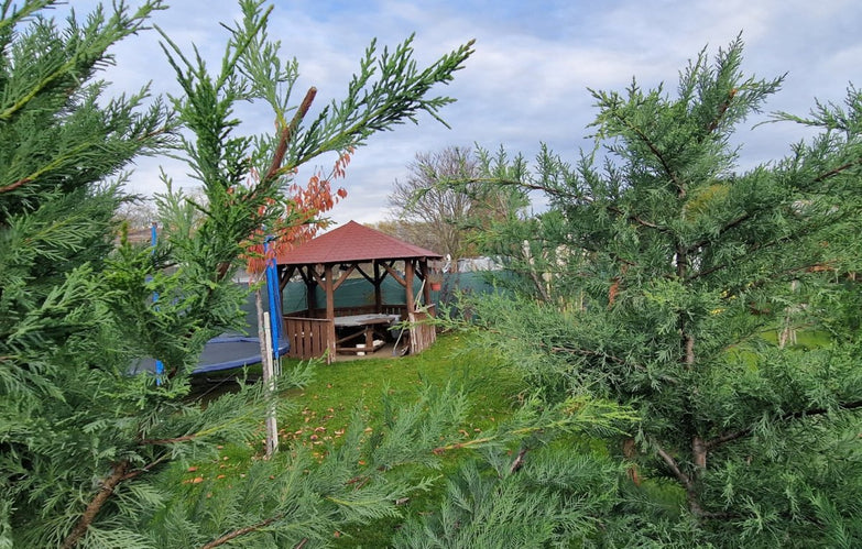 Eladó telek Kecskemét Mariahegyen!