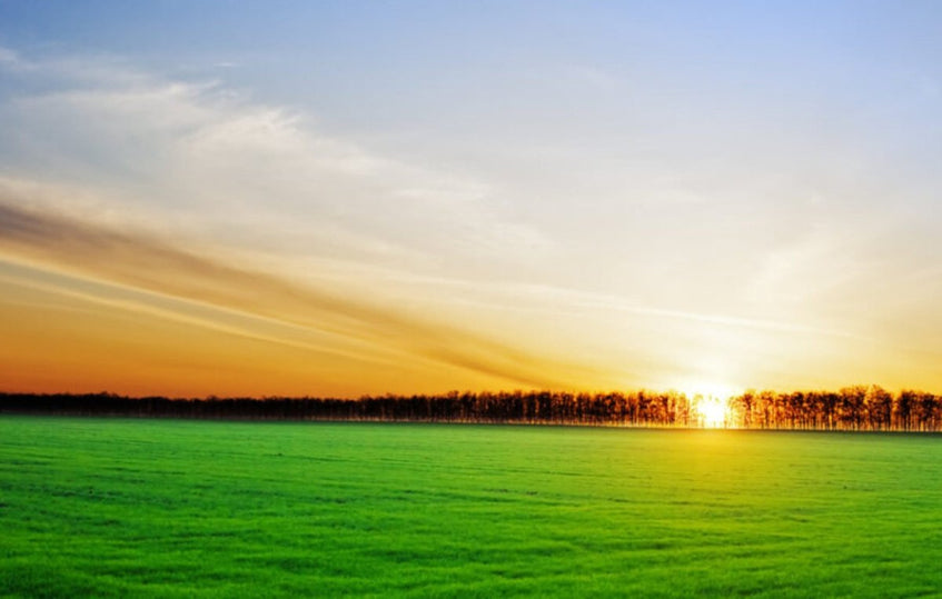 405nm-es telek eladó – Alsószéktó, Kecskemét