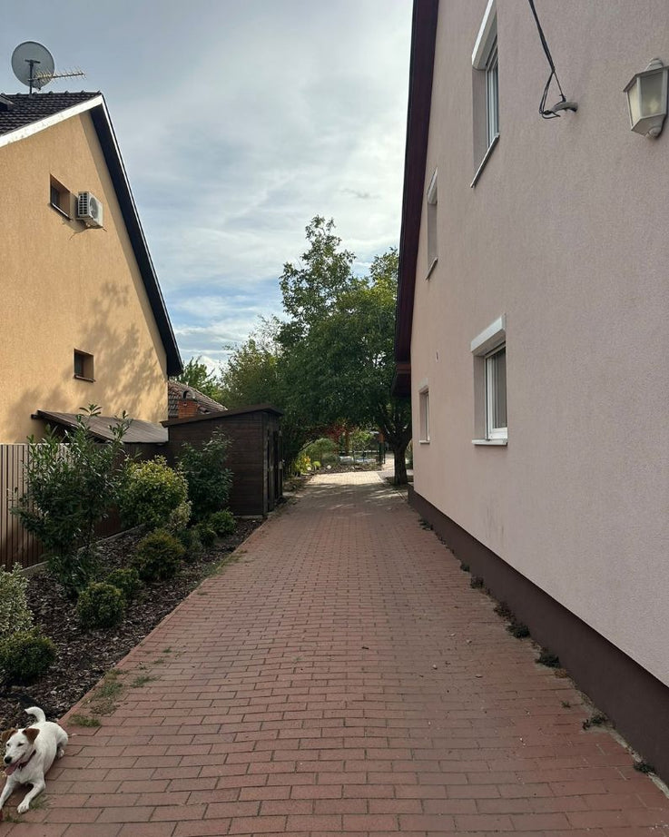 DUNAHARASZTI HATÁR ÚT – TELJESEN FELÚJÍTOTT, 159 M²-ES CSALÁDI HÁZ MEDENCÉVEL, SAJÁT SZAUNÁVAL, DUPLA GARÁZZSAL ÉS NAPELEMMEL