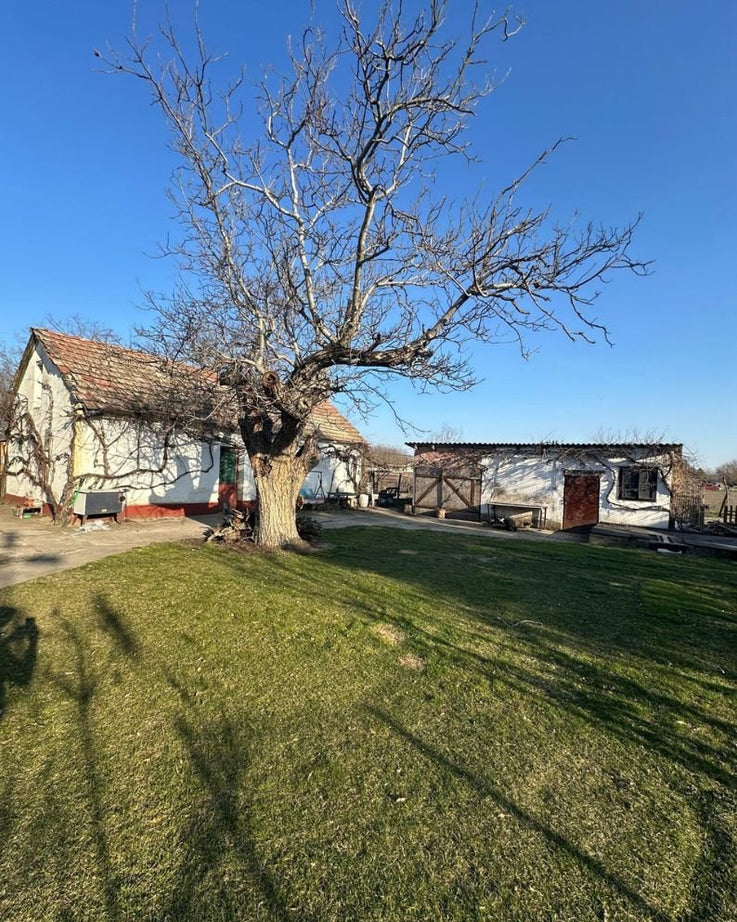 Eladó tanya Ménteleken – Kecskemét közelében, 3000 m² telekkel