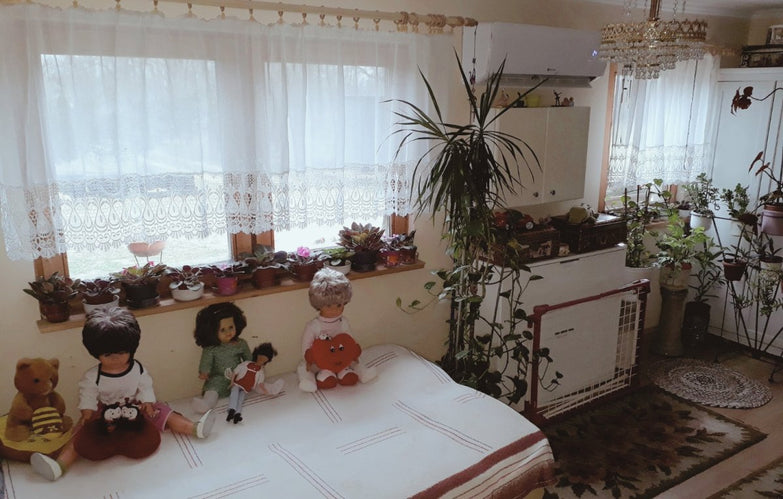 Eladó könnyűszerkezetes kis családi ház a Csalánosi Csárda szomszédságában 17,7M forintért!